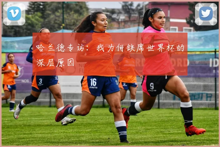 哈兰德专访：我为何缺席世界杯的深层原因